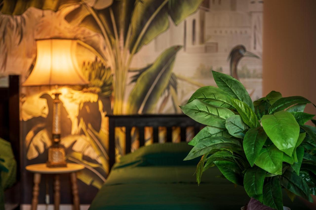 Апартаменты The Tropical House Тирана Экстерьер фото